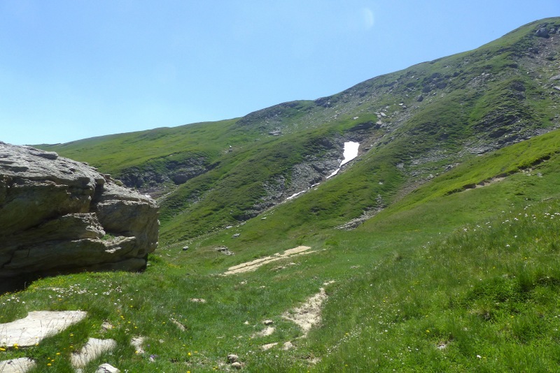 La Nigritella widderi a Pizzo di Sevo e Cima Lepri  -  luglio 2025